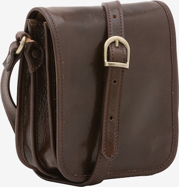 Viola Castellani Crossbody Bag in Brown: front