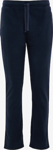Regular Pantalon 'Darius' Threadbare en bleu : devant