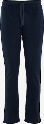 Threadbare Regular Broek 'Darius' in Blauw: voorkant