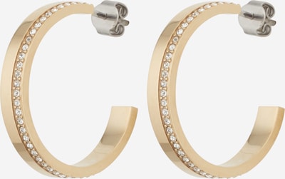Calvin Klein Earrings in Gold / Transparent, Item view
