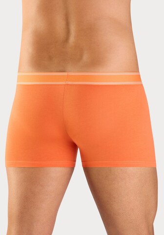 Bruno Banani Шорты Боксеры в Синий