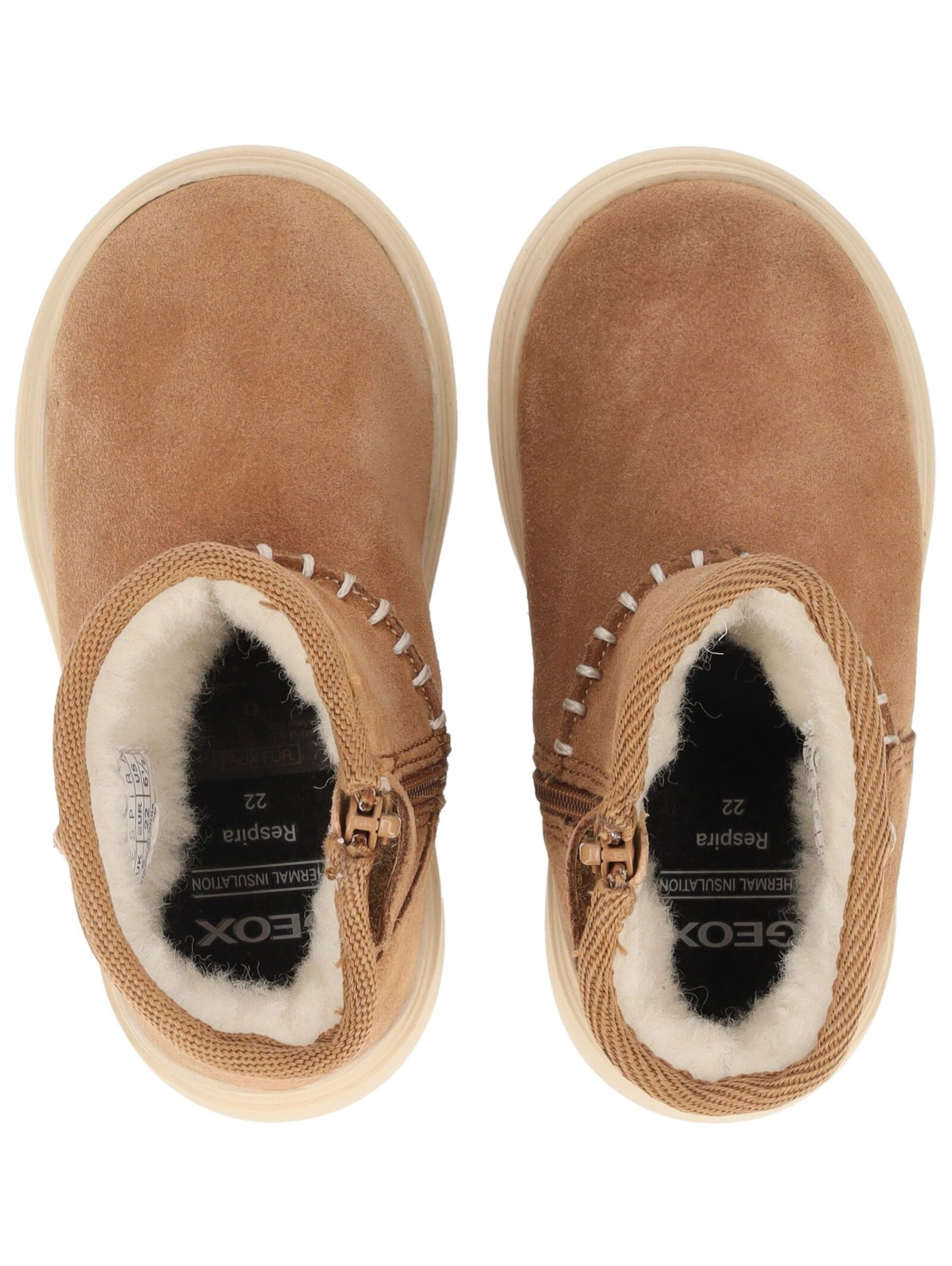 GEOX Boots in Brown