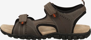 Sandales de randonnée 'Mito' GEOX en marron