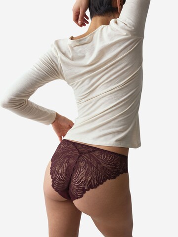 Slip TRIUMPH en violet