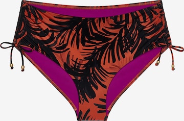 TRIUMPH Bikinibroek ' Red Label Summer Palm ' in Bruin: voorkant