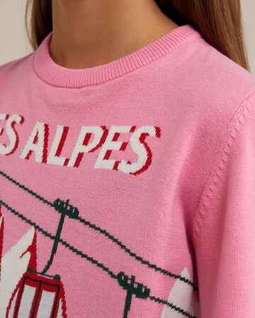 WE Fashion Sweater in Pink