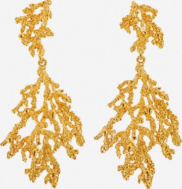 RteRmeNaušnice 'Thessaly Earrings' - zlatna boja: prednji dio