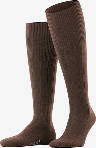 FALKE Knee High Socks 'Lhasa Rib' in Brown: front