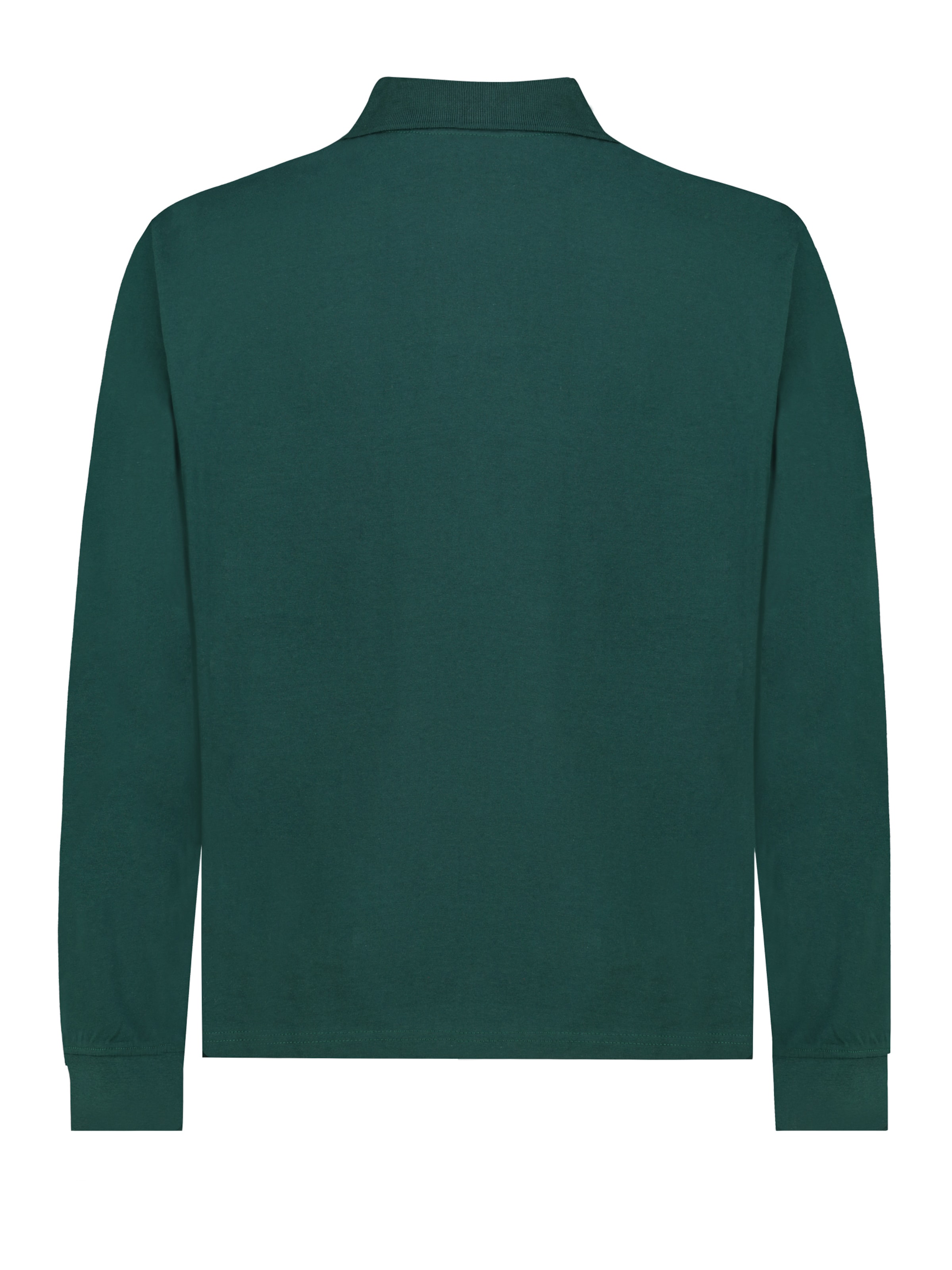 Sublevel Poloshirt in Grün