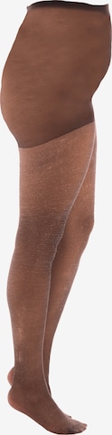 Pamela Mann Fine Tights in Brown: front