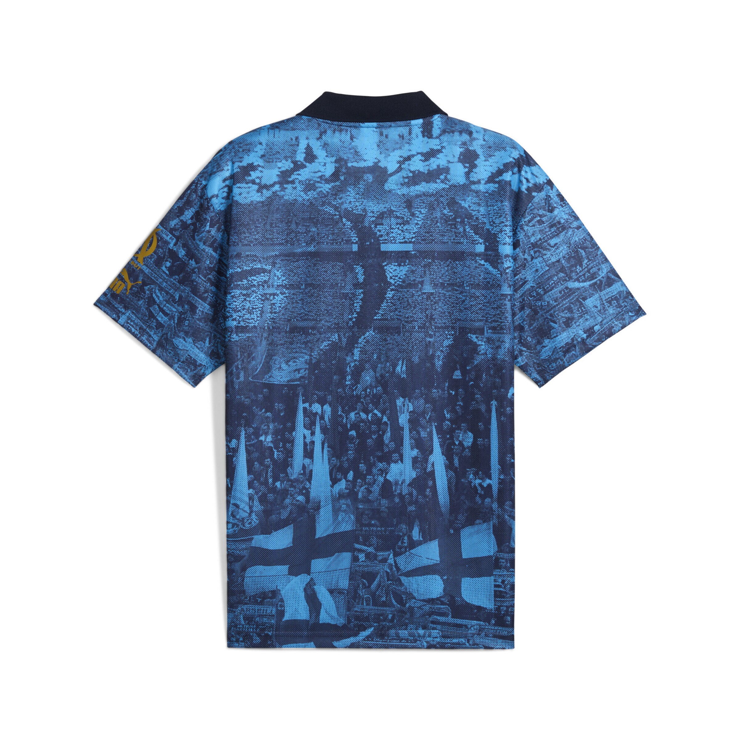 PUMA Tricot 'Olympique de Marseille FtblNRGY+' in Blauw