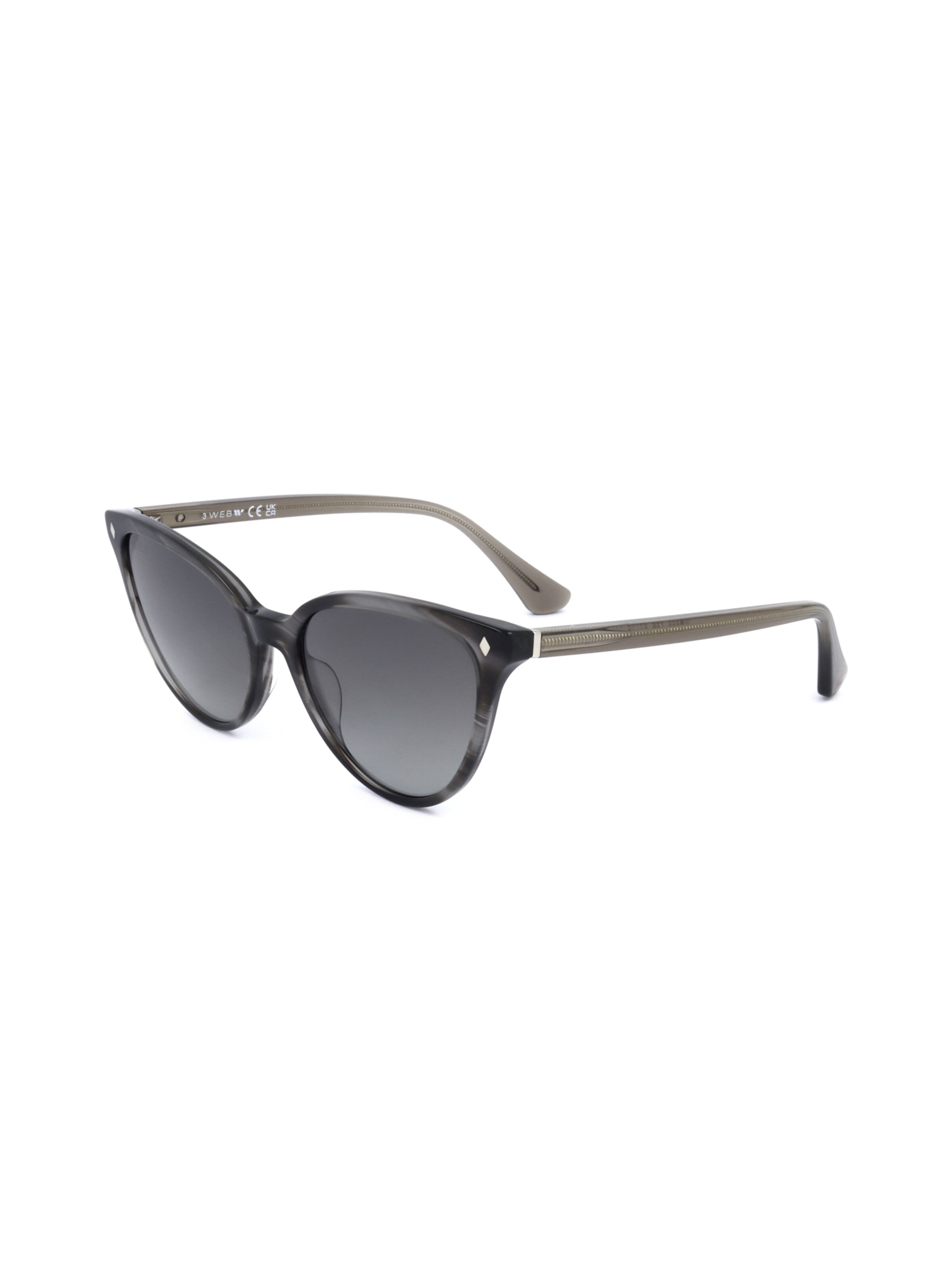 Occhiali da sole 'WE0329' di Web Eyewear in grigio