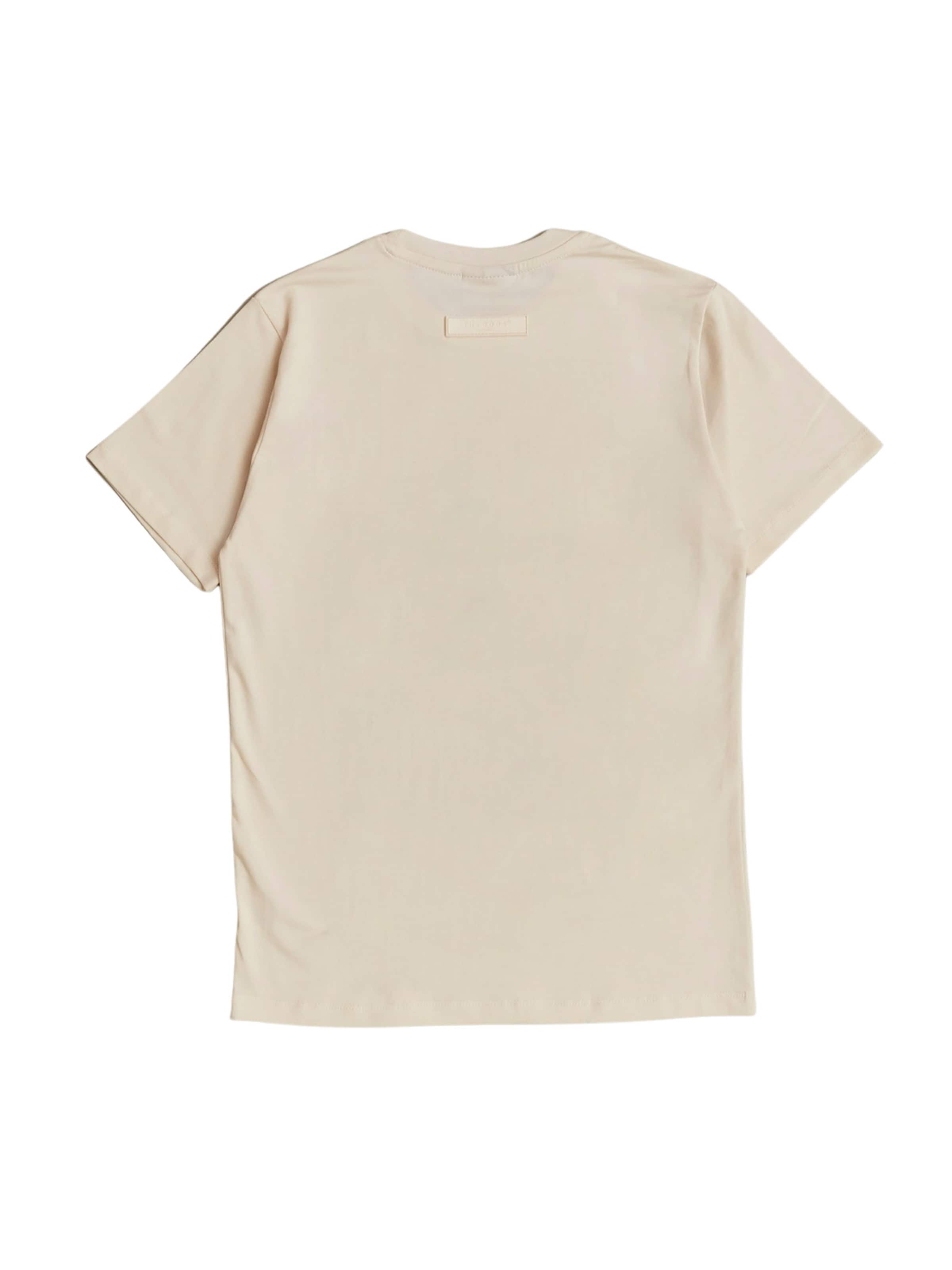 THE ODDS Bluser & t-shirts 'Regular Fit T-Shirt/ alphabet' i beige