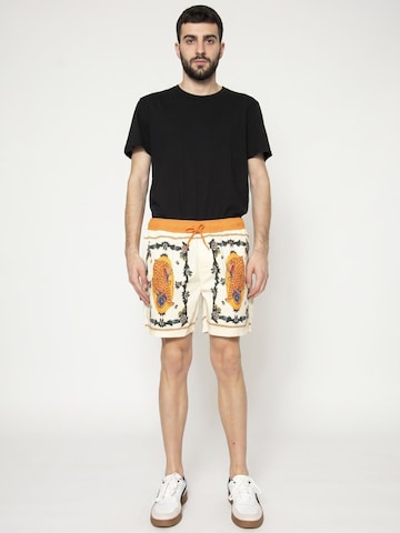 Brixton Baggy Hose 'Voyager Short 16 Multi'‌‌‌‌ in Beige