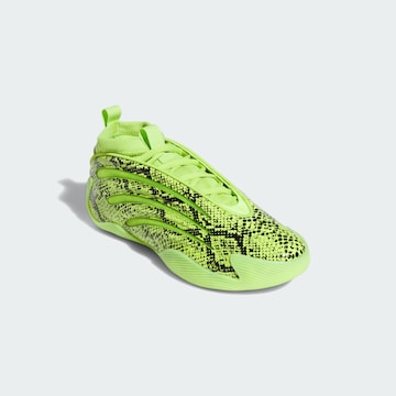 ADIDAS PERFORMANCE Sportschuh 'Harden Volume 9' in Grün