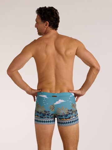wavebreaker Badehose in Blau