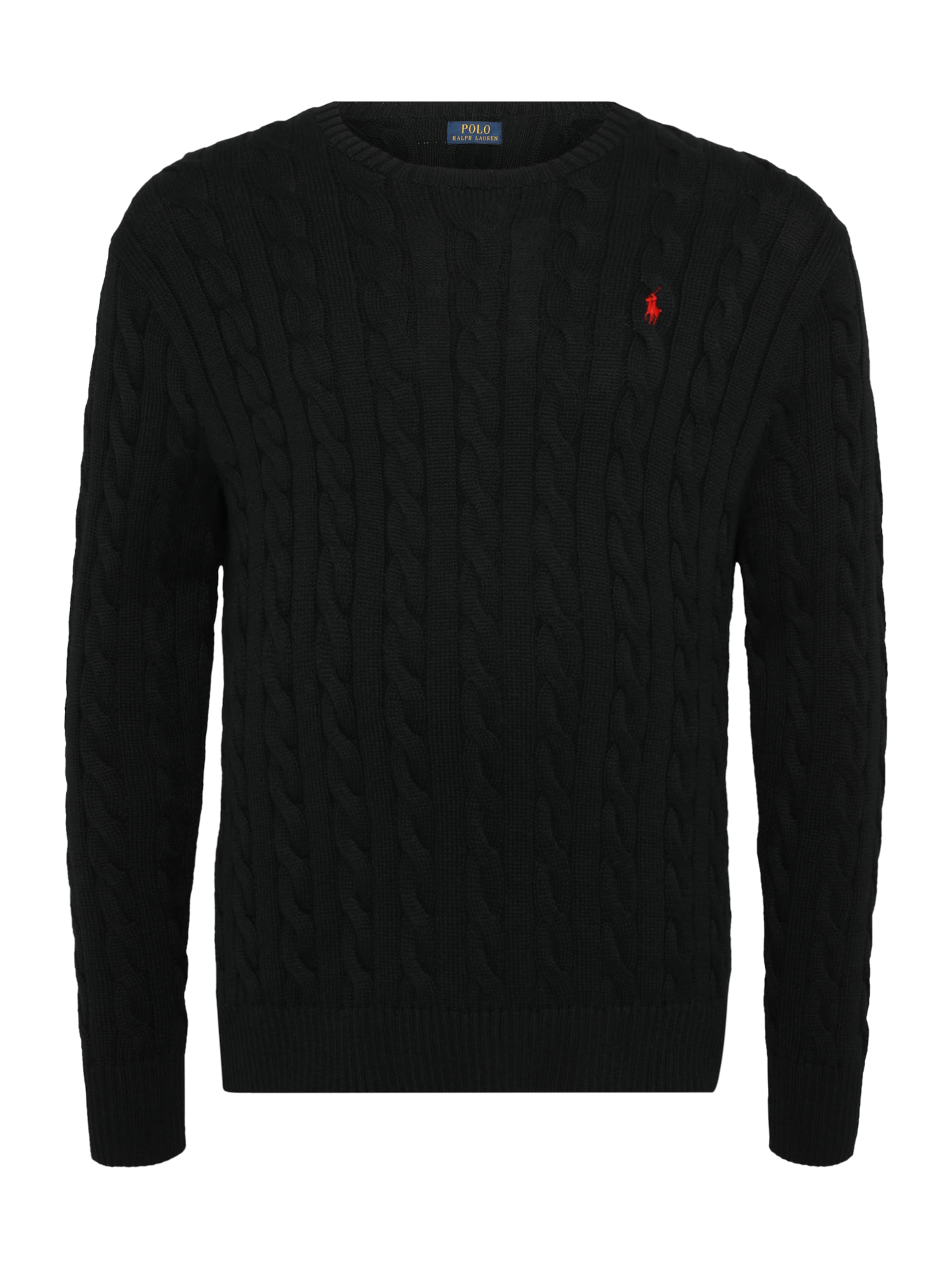 Polo Ralph Lauren Big & Tall Trui 'DRIVER' in Blauw: voorkant