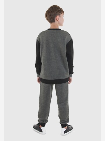 Set 'CFF-25S1-079' Denokids en gris