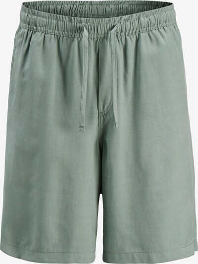 JACK & JONES Pantalon 'KARL AARON' en vert clair, Vue avec produit