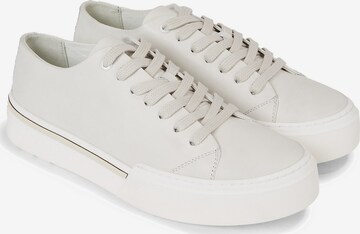 Baskets basses Calvin Klein en blanc