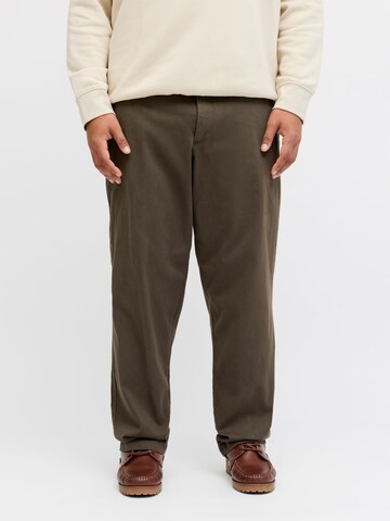 Jack & Jones Plus - Loosefit Pantalón chino en verde: frente