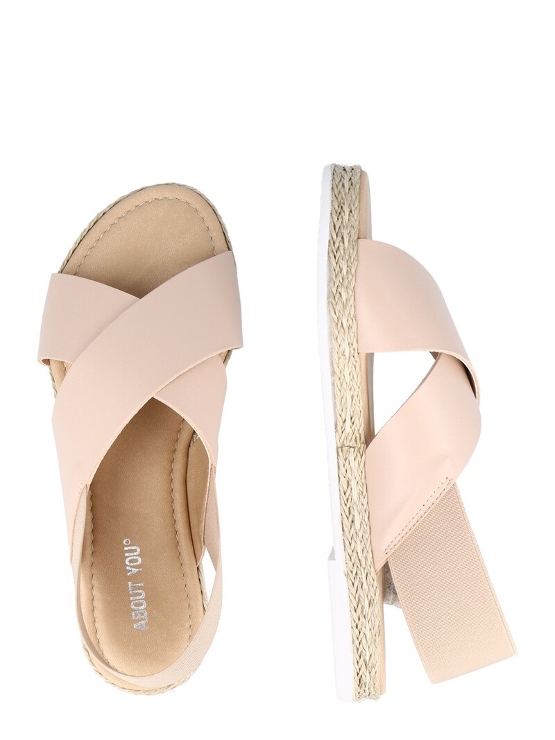 Women Shoes ABOUT YOU Sandals Beige