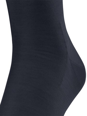 FALKE Knee High Socks 'ClimaWool' in Blue