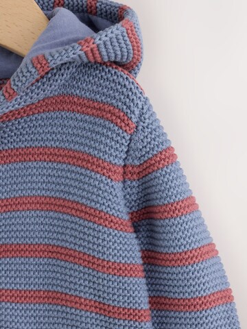 Next Strickjacke in Blau