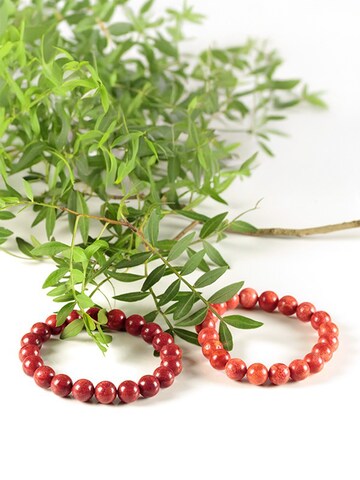 Tiger Treasure Qualität, inspiriert seit 1890 Armband 'Red Coral' in Rot