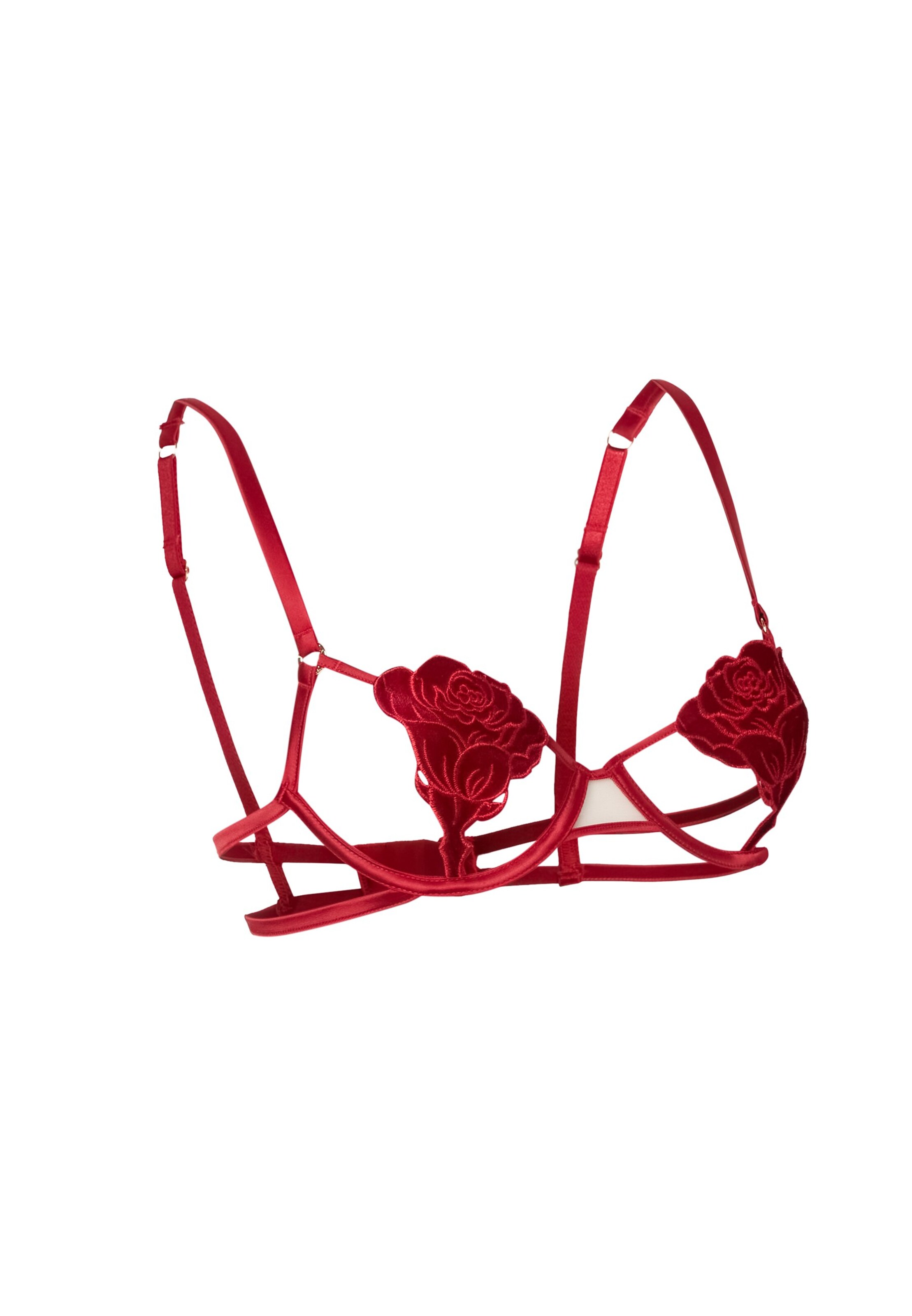 raudona Bluebella Klasikinis Liemenėlė 'Rose'