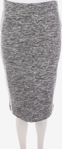 Chicorée Skirt in S in Grey: front
