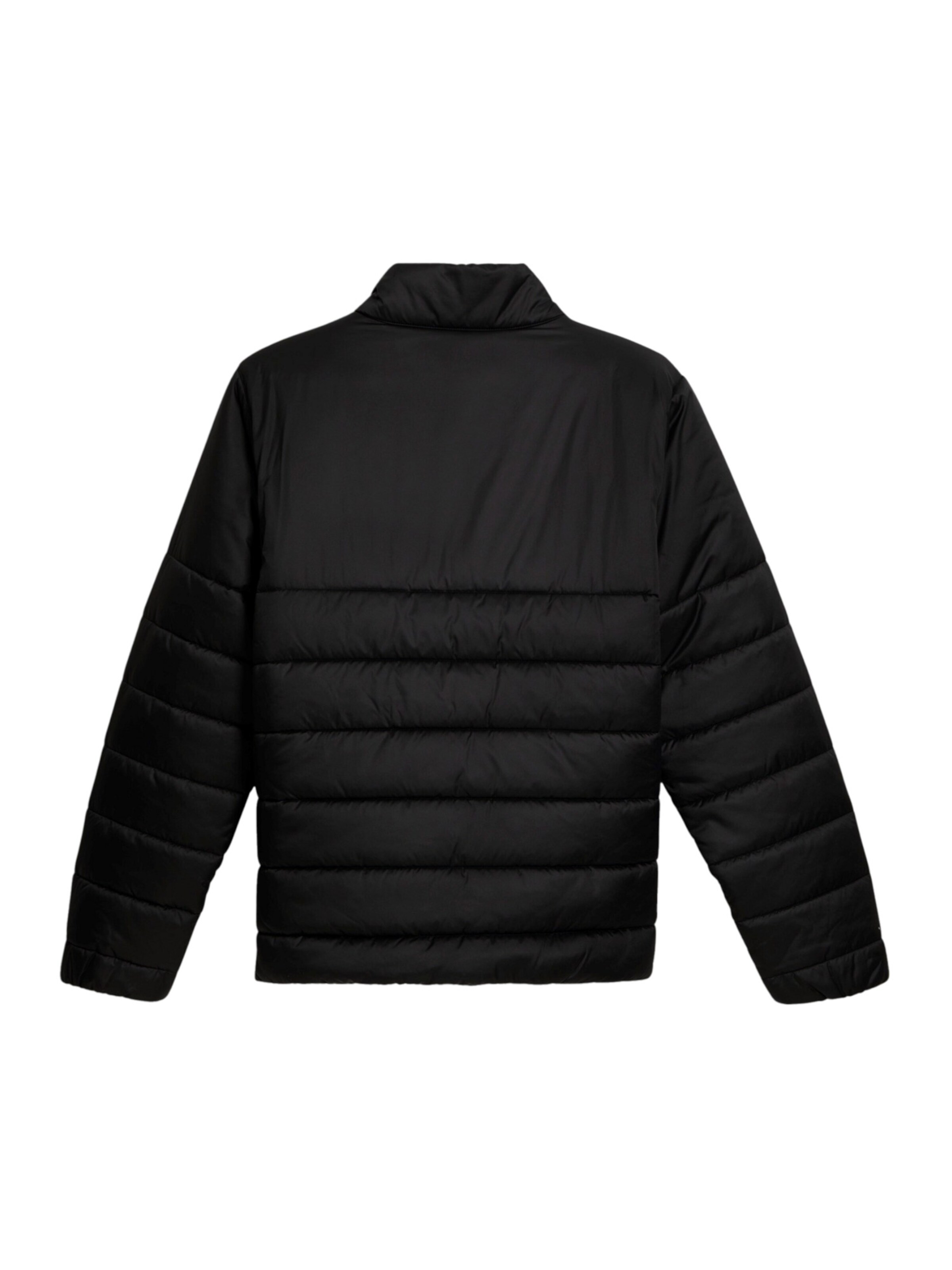 PUMA Sportjacke in Schwarz