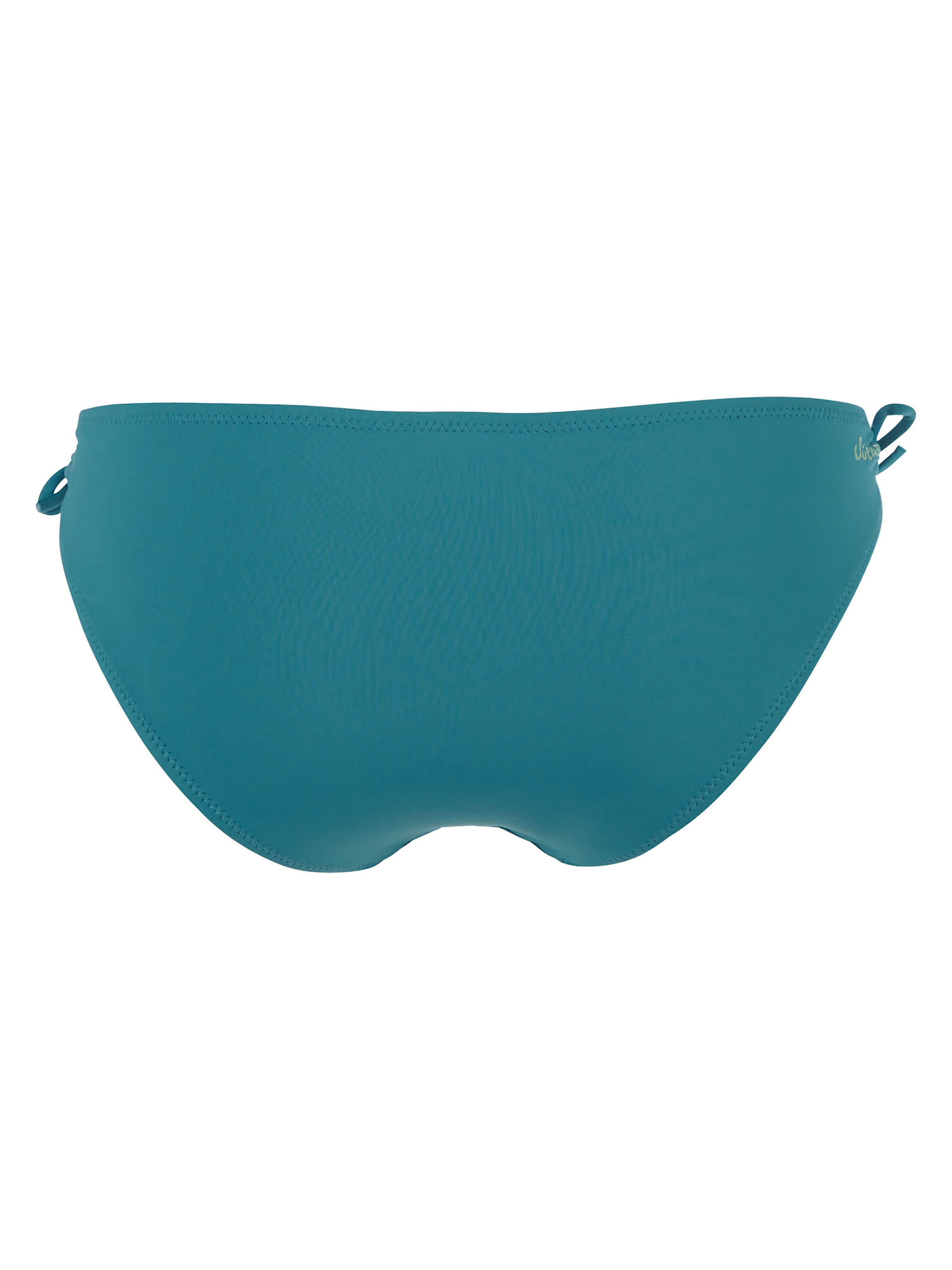CHIEMSEE Bikini Bottoms in Blue