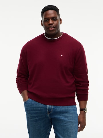 Tommy Hilfiger Big & Tall Sweater in Purple: front