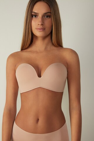 INTIMISSIMI Bandeau BH in Beige: predná strana