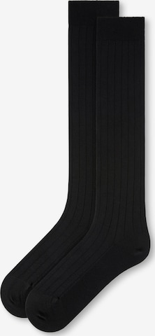 CALZEDONIA Kniestrümpfe in Schwarz: Vorderseite
