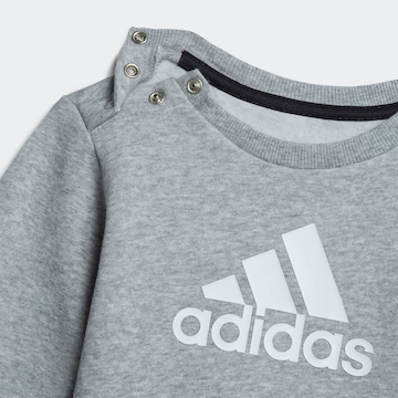 ADIDAS SPORTSWEAR Set 'Badge Of Sport' i grå