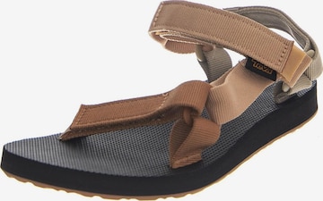 TEVA Sandale 'Original Universal sandalo M WPPP' in Braun: Vorderseite