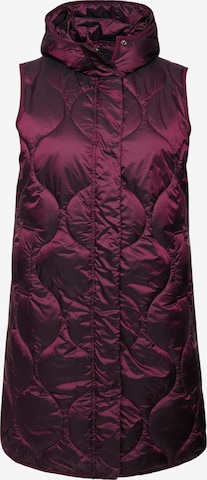 Gilet Ulla Popken en violet : devant