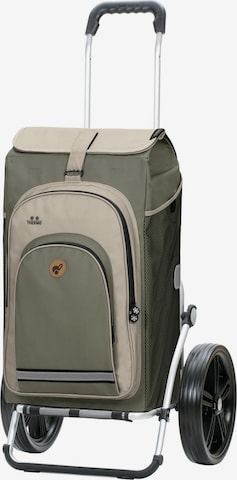 Cabas 'Hydro 2.0' Andersen Shopper en beige : devant