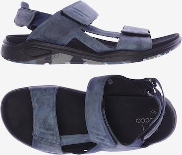 ECCO Sandals & Slippers in 44 in Blue: front