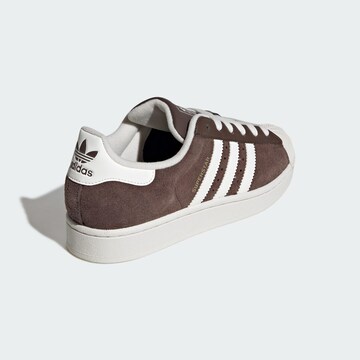 ADIDAS ORIGINALS - Zapatillas deportivas bajas 'Superstar II' en marrón
