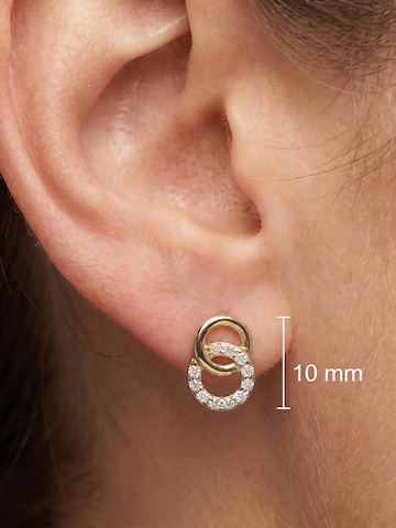 Jobo Earrings in Gold