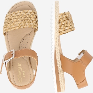 CLARYS Sandals 'NIÑA' in Brown