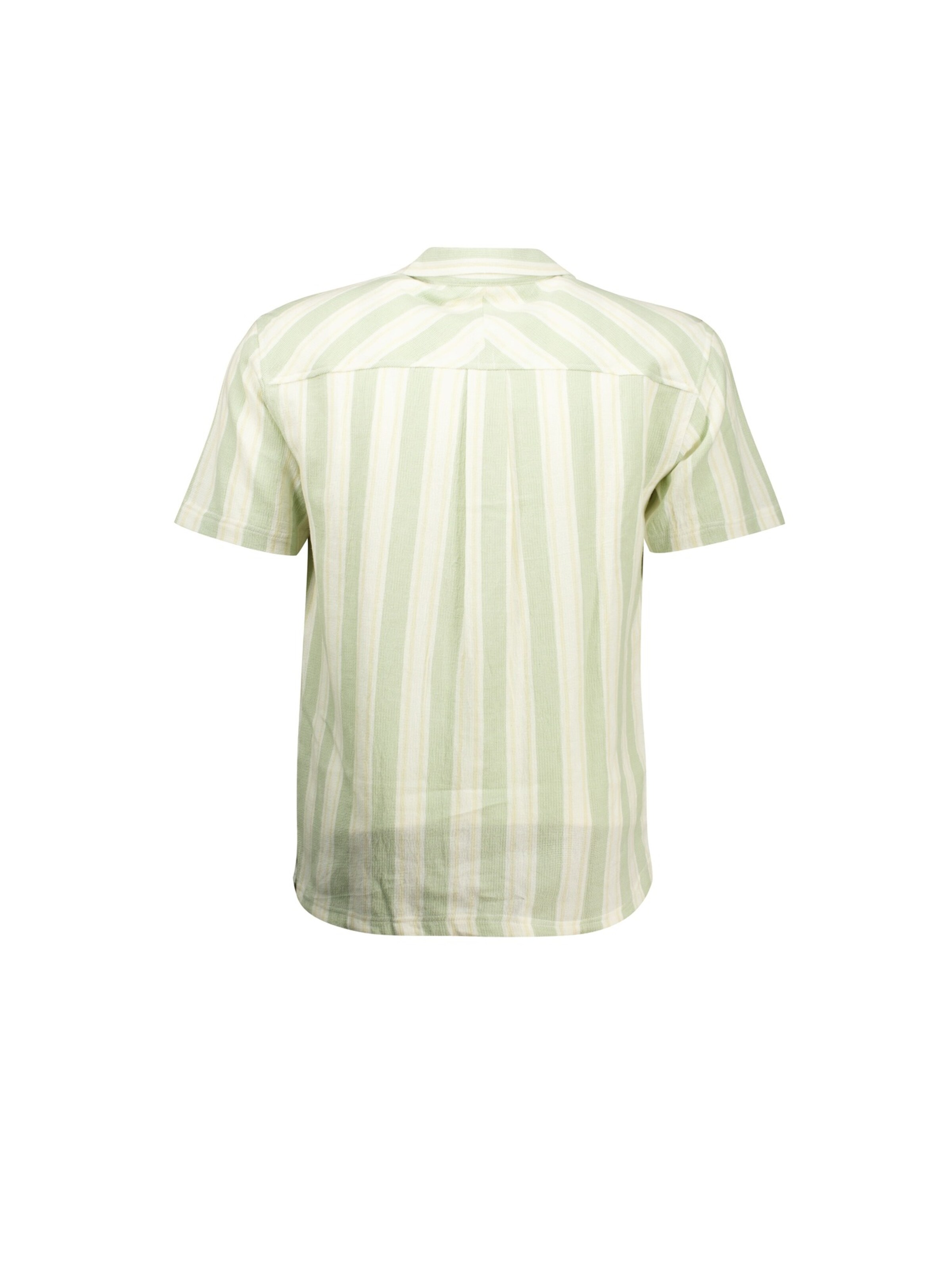 Coupe regular Chemise 'Curries' Deeluxe en vert