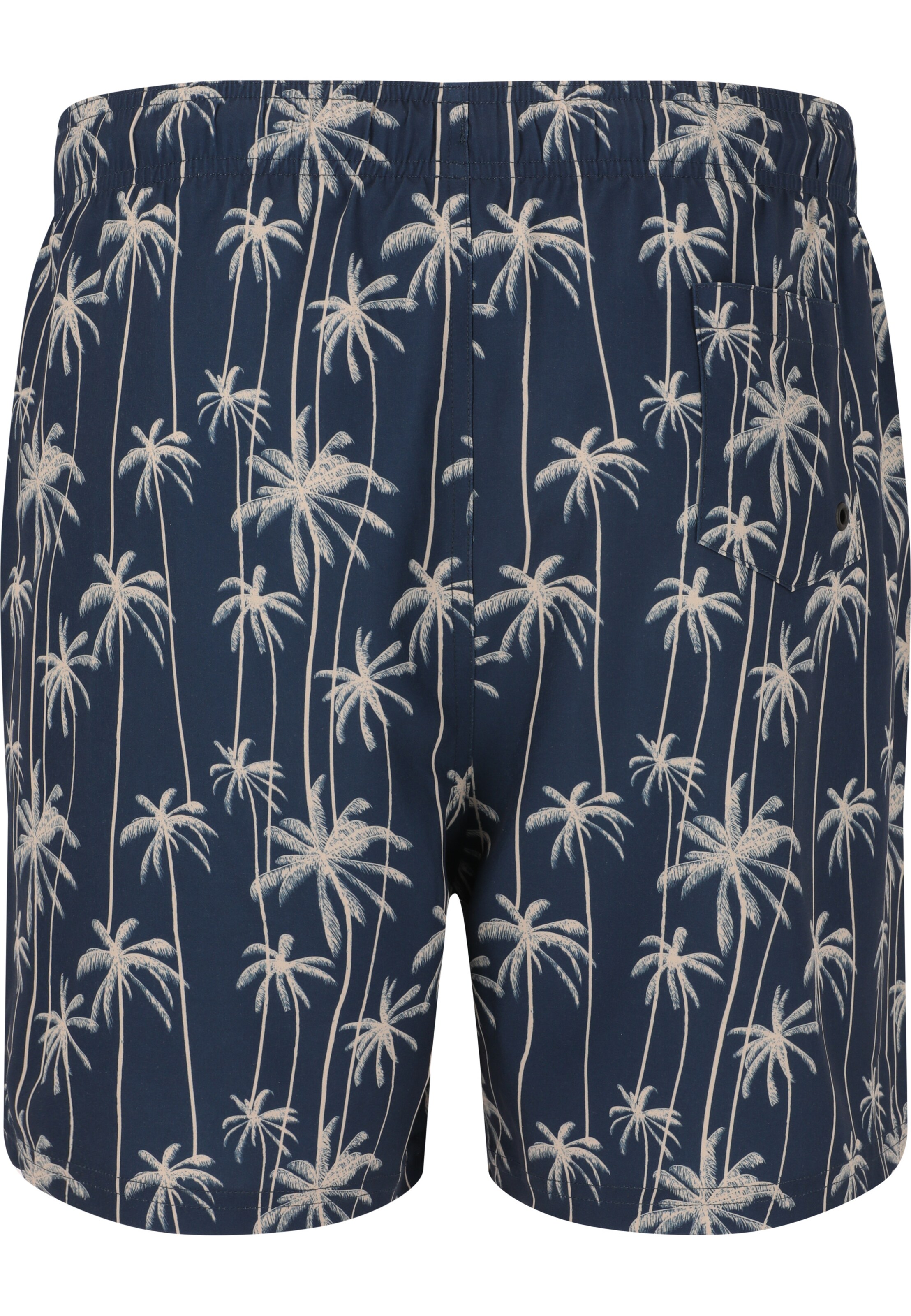 Cruz Zwemshorts 'Rohan' in Blauw