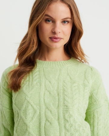 WE Fashion Sweater in Green