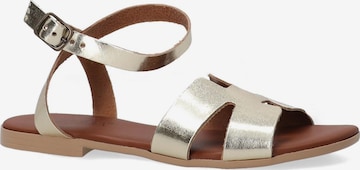 VENEZIA Sandale in Gold: Vorderseite