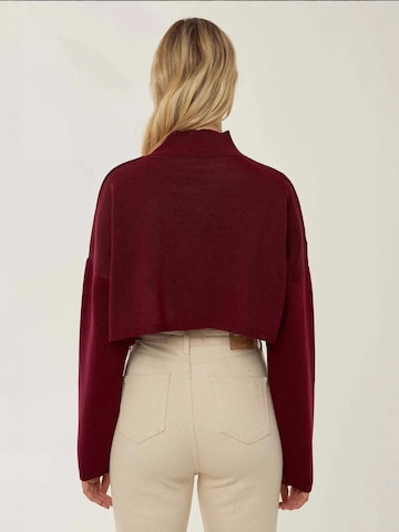 HiccupPulover 'Pullover' - crvena boja