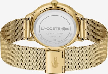 LACOSTE - Reloj analógico en oro